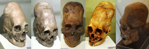 analisis  ADN de los cráneos alargados